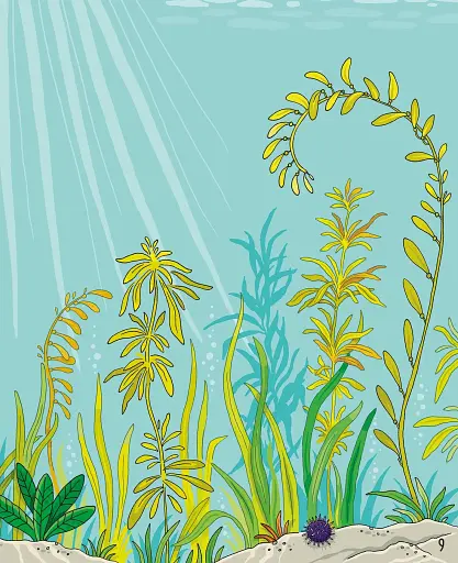 First Sticker Book: Under the Sea - фото 3