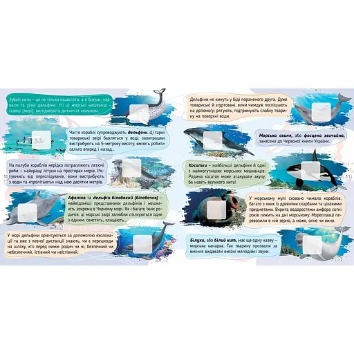 Моря, океани та їхні мешканці 100 цікавинок - К. Шаповалова (9789669892720) - фото 3