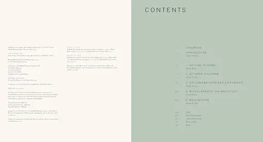 Michelangelo - фото 2