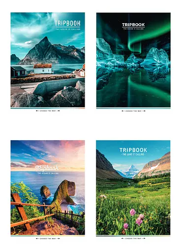 Комплект 4 шт общих тетрадей. Тетрадь Школярик А5 80 л. в линию 5073 4823088219326 - фото 1