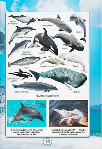 Ви маєте це знати. Світ звірів - фото 9