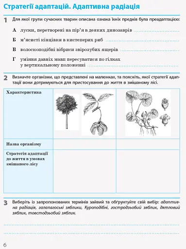 Біологія і екологія. Рівень стандарту. 11 клас. Робочий зошит - фото 4