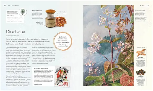 The Herb Book - фото 7