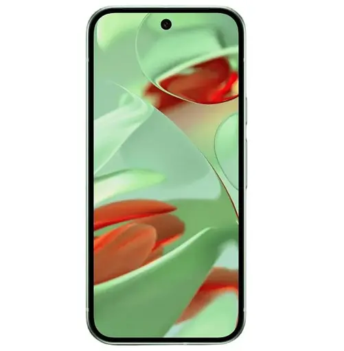 Смартфон Google Pixel 9 12/128GB Wintergreen EU/US/TW - фото 2