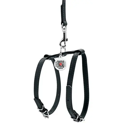 Шлея з повідцем для собак Waudog Glamour шкіряна з QR паспортом, чорний - фото 2