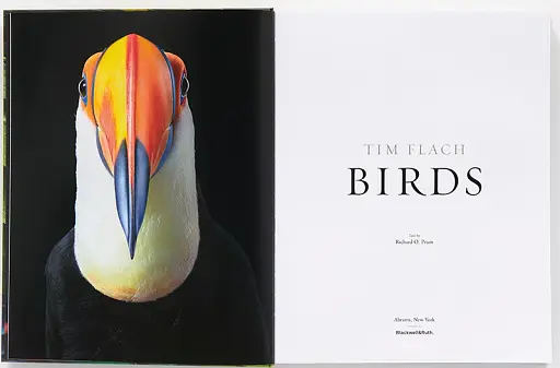 Birds. Photographs - фото 3