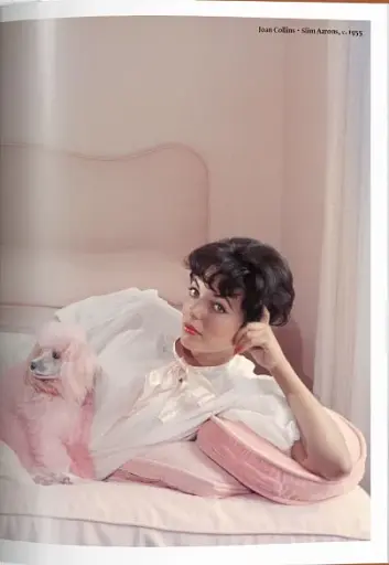 The Dog in Photography. 1839-Today - фото 6