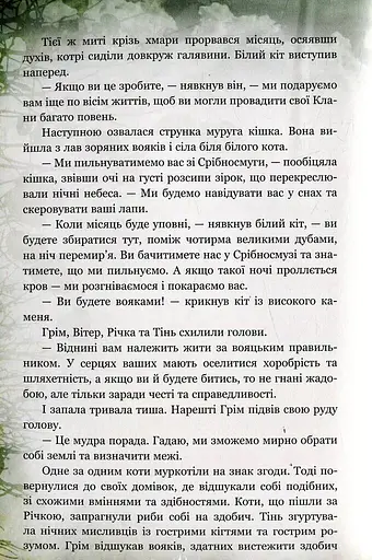 Коти-вояки. Таємниці Кланів. Путівник по серії - фото 4