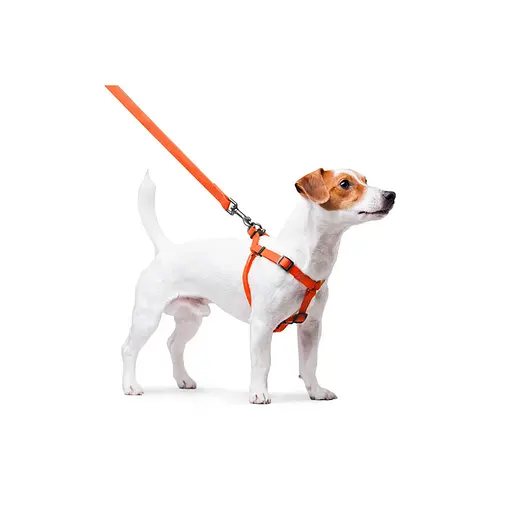 Шлея для собак водостійка Waudog Waterproof з QR-паспортом металічна пряжка-фастекс Ш 15 мм Д 40-55 см помаранчевий - фото 6