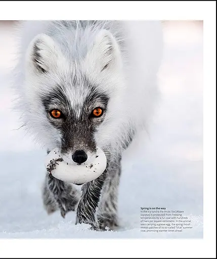 The Science of Animals - фото 10