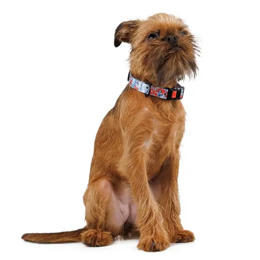 Ошейник для собак Баркси Urban патриотический Калина - фото 4