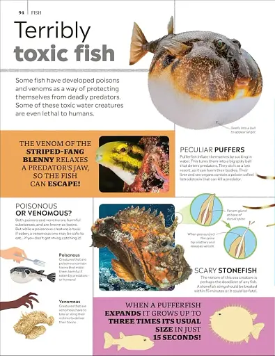 Eyewitness Encyclopedia of Animals - фото 6