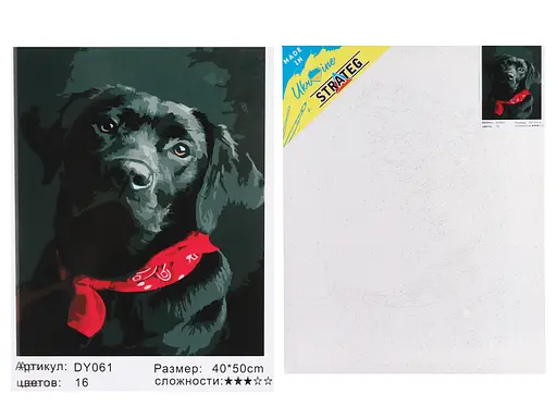 Набор для росписи по номерам Черный лабрадор, Strateg, 40x50 см, DY061