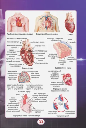 Ви маєте це знати. Тіло людини - фото 8