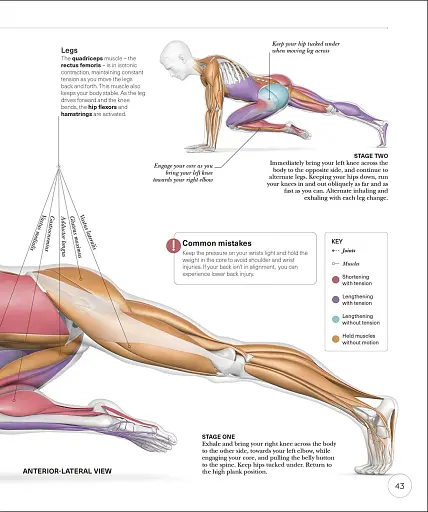 Science of HIIT - фото 8