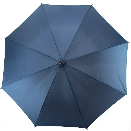 Зонтик Semi Line Blue L2037-1 (DAS303548) - фото 2