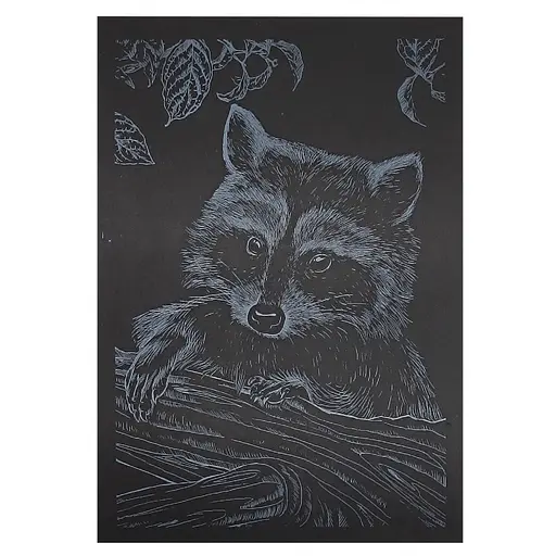 Гравюра А5 Енот ГрА5с-24 эконом вариант в пакете 21 х 14,8 см