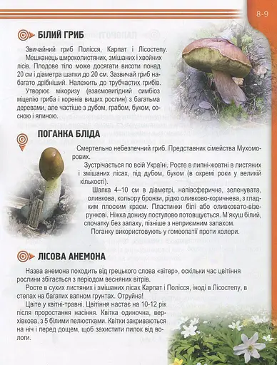 Енциклопедія для допитливих А5 : Рослини і тварини України (Українська ) - фото 8