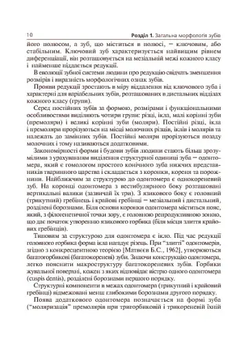 Основи клінічної морфології зубів - фото 11