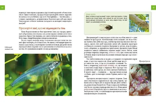 Енциклопедія для допитливих А5 : Тварини - майстри маскування (Українська ) - фото 6