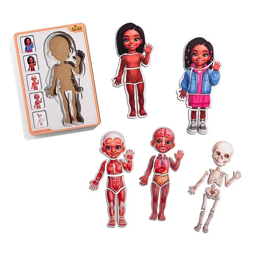 Дерев'яний пазл-вкладиш "Анатомія людини - дівчинка-3" Ubumblebees (ПСД264) PSD264 будова тіла - фото 1