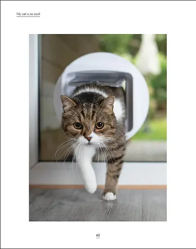 What's My Cat Thinking? Understand Your Cat to Give Them a Happy Life - фото 5