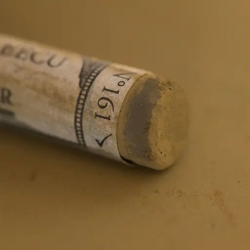 Сухая пастель Sennelier, мягкая, Бронзово-зеленый светлый N°1 - фото 2