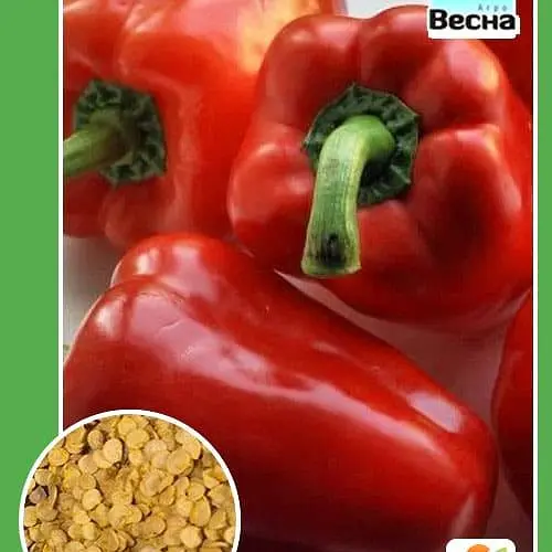 Перец "Геркулес F1" ТМ "Весна" 0.2г (51037) - фото 1