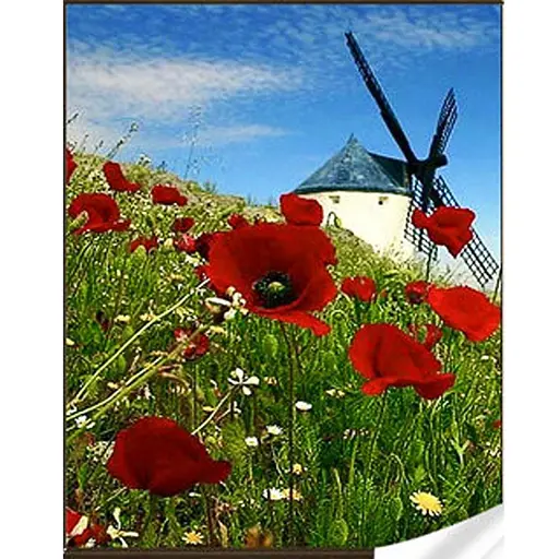 Алмазна мозаїка Млин Strateg GM86061 30х40 см - фото 1