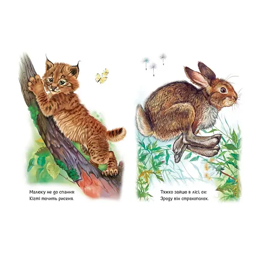 Малюкам про звірят "Лісові звірята" 212015 збірка з аудіосупроводом - фото 2