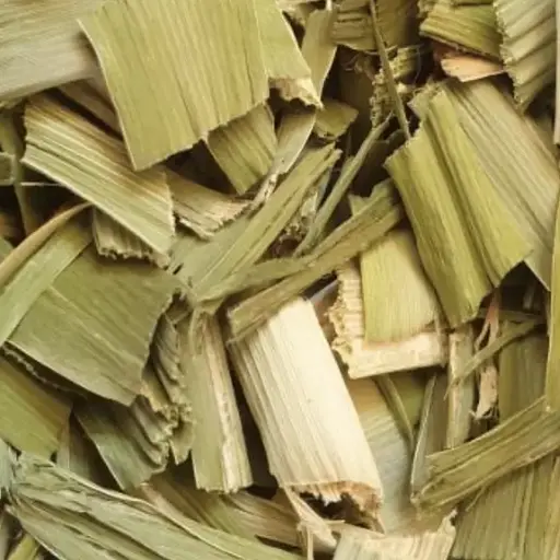 100 г рогоз/бочарная/куга шириколистный трава