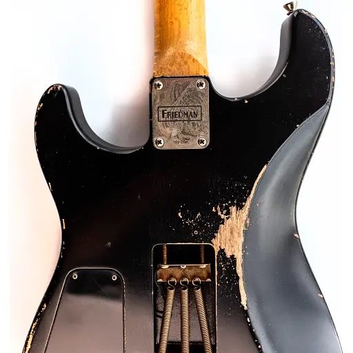Електрогітара Friedman Cali Black [130824] - фото 3