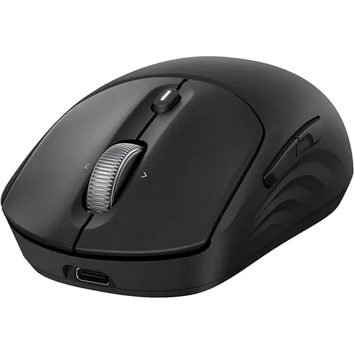 Мышь HP 700 Wireless Black (AZ7B0AA) - фото 2