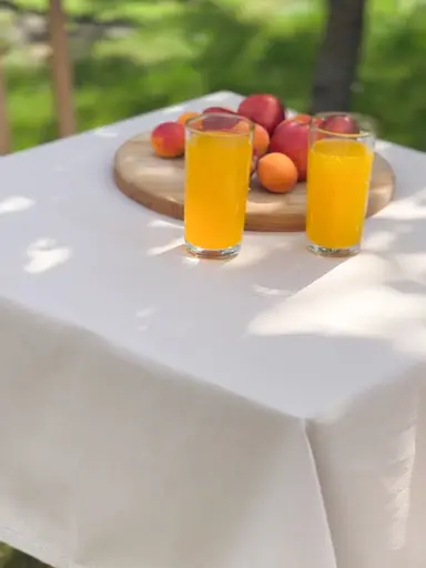 Водовідштовхувальна скатертина Бежевий однотон 280х140 см (+ 6 серветок 30х40) - фото 3