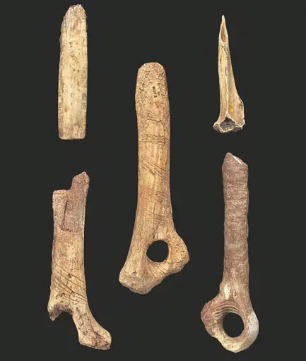 1001 Ideas that Changed the Way We Think - фото 8