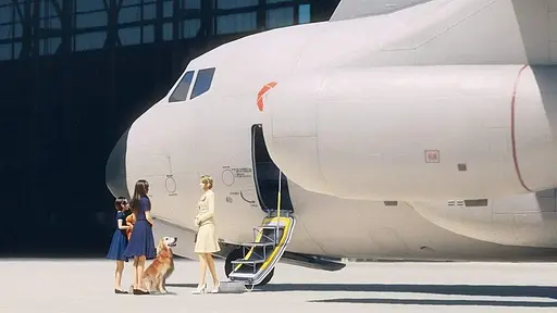 Гра Sony PlayStation 4 Ace Combat 7: Skies Unknown Російські Субтитри Б/в - фото 8