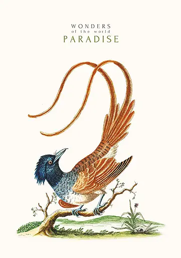 Комплект 3 шт загальних зошитів. Зошит Школярик А4 80 арк. у лінію 545 4823088203349 - фото 2