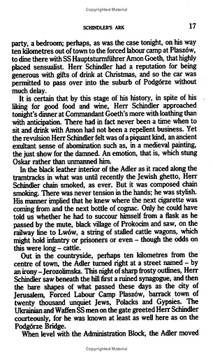 Schindler's Ark - фото 3