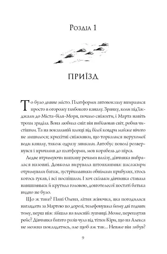 Місто тіней - фото 5