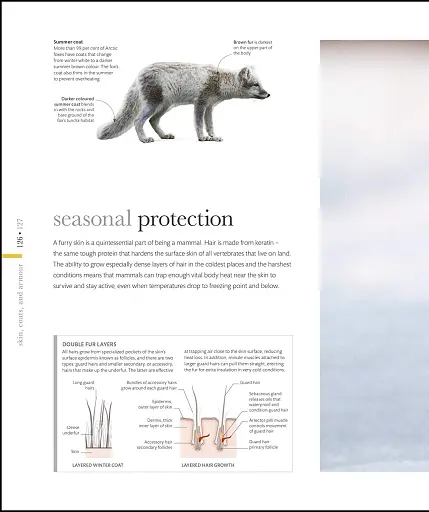 The Science of Animals - фото 9