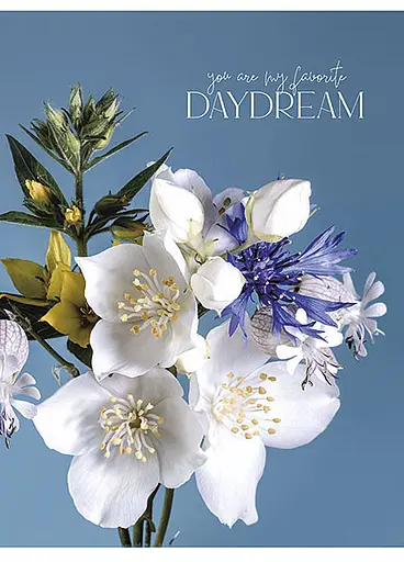 Комплект 4 шт общих тетрадей. Тетрадь Школярик А5 48 л. в линию 5074 4823088219210 - фото 3