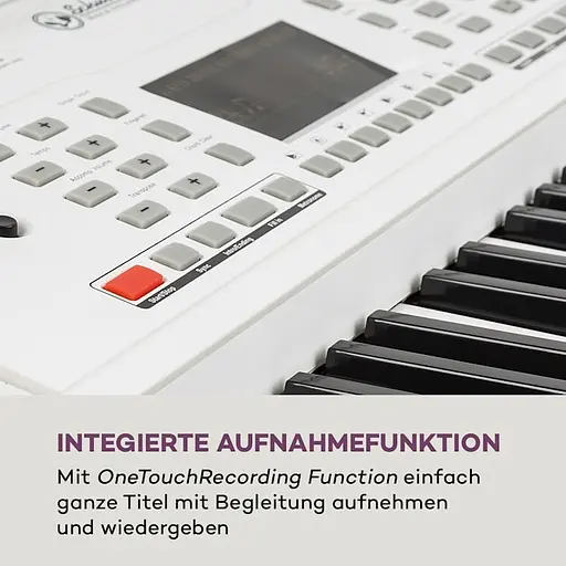 Синтезатор Schubert Etude 61 MK II (10033245) - фото 6