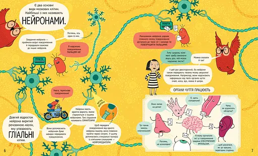 Книжка про мозок і те, як він працює. Автор др. Бетіна Іп - фото 3