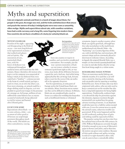 The Cat Encyclopedia - фото 4