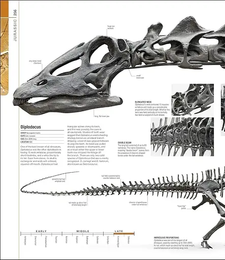 Dinosaurs and Prehistoric Life. The Definitive Visual Guide - фото 7