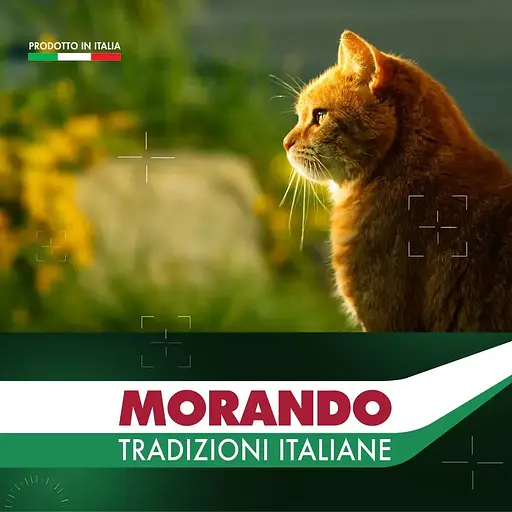 Вологий корм для стерилізованих котів Morando Tradizioni Sterilized беззерновий шматочки у соусі з яловичиною та овочами 85 г - фото 6