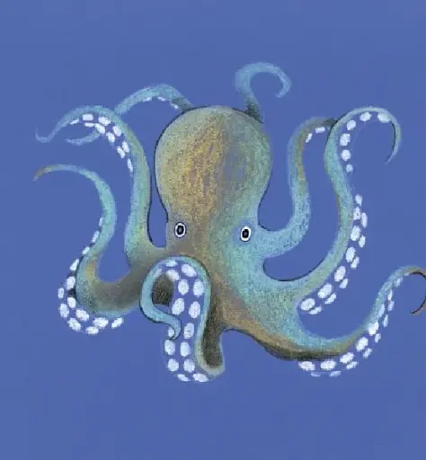 Sea Animals - фото 8