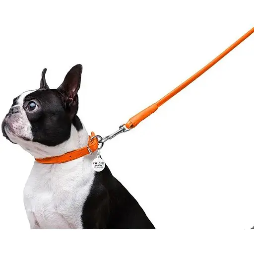 Повідець для собак Waudog Glamour шкіряний круглий, помаранчевий - фото 6