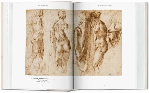 Michelangelo. The Graphic Work - фото 2