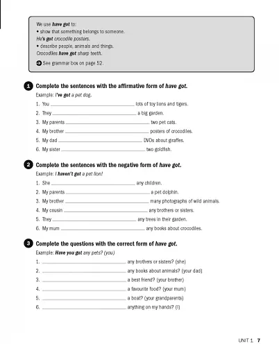 Impact. Foundation. Grammar Book - фото 4